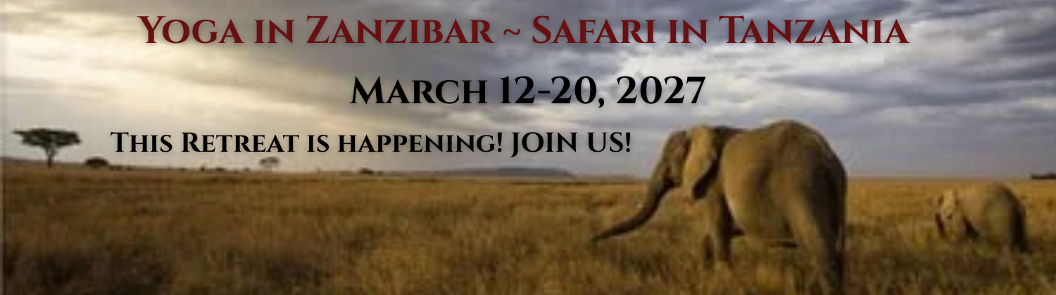 Banner AFRICA (1500 x 420 px).png