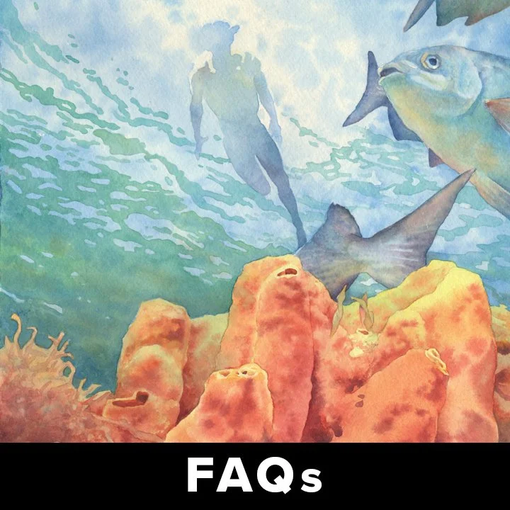 Website Landing Page Tiles - FAQs w Fish.jpg