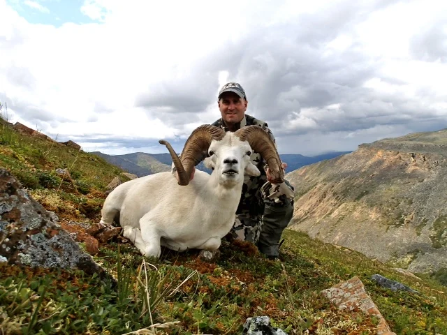 I wanted to share a photo of my 11 1/2 year old warrior NWT ram. Absolutely fantastic hunt in beautiful country. I used my Kestrel Ti knife to cape for a life sized mount. Your knife stayed sharp and is a joy to carry, perfect for sheep hunting. Thanks! Tom Oregon