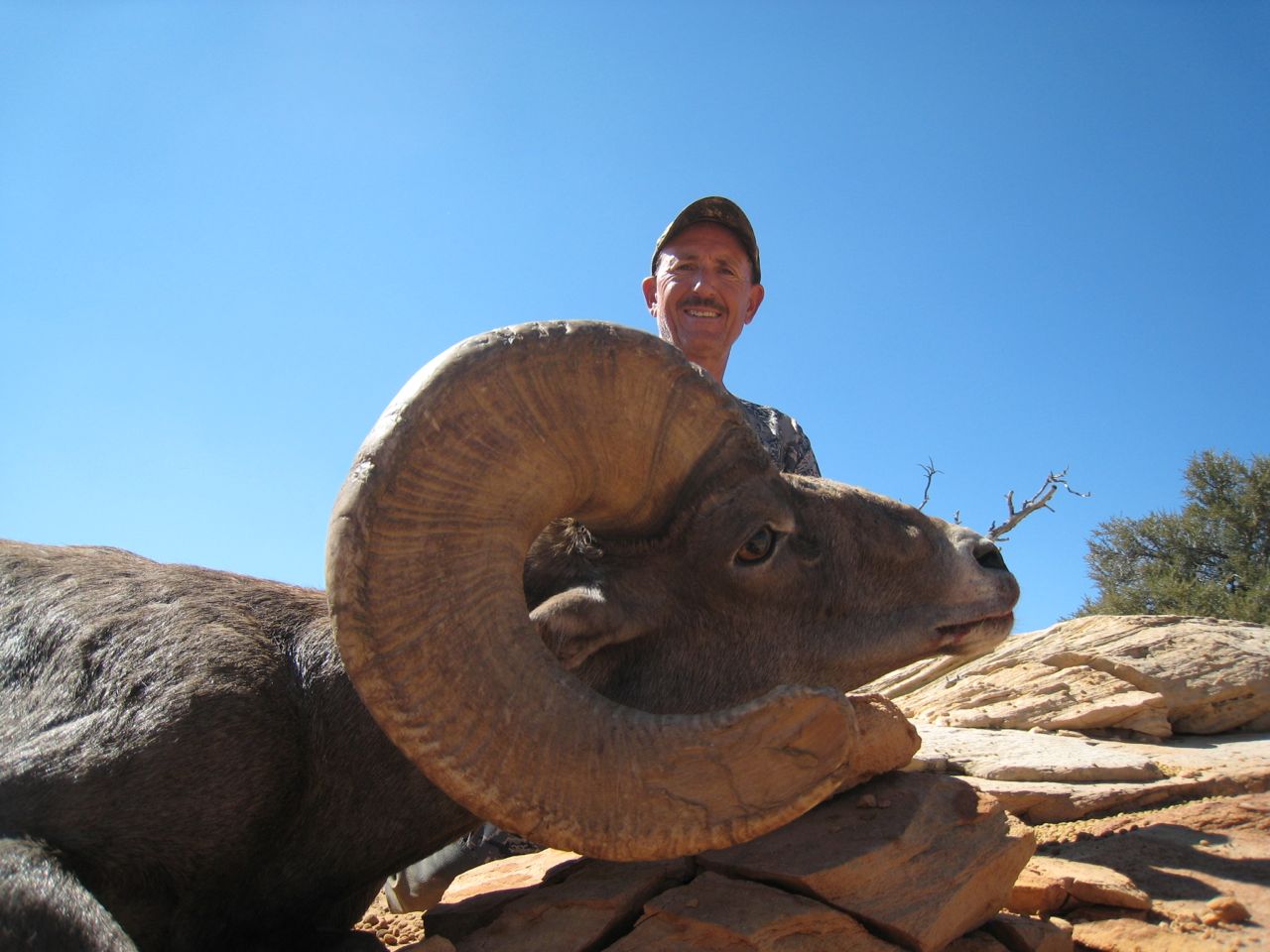 "My personal “kudos” to Nathan on designing an ultralight knife that will to meet the needs of Mountain Hunters. Great job. I recommend that serious Mountain Hunters purchase this very innovative knife to “take their game to another level. " Randy Johnson, Full Curl Society Hall of Fame, High Desert Wild Sheep Guides.