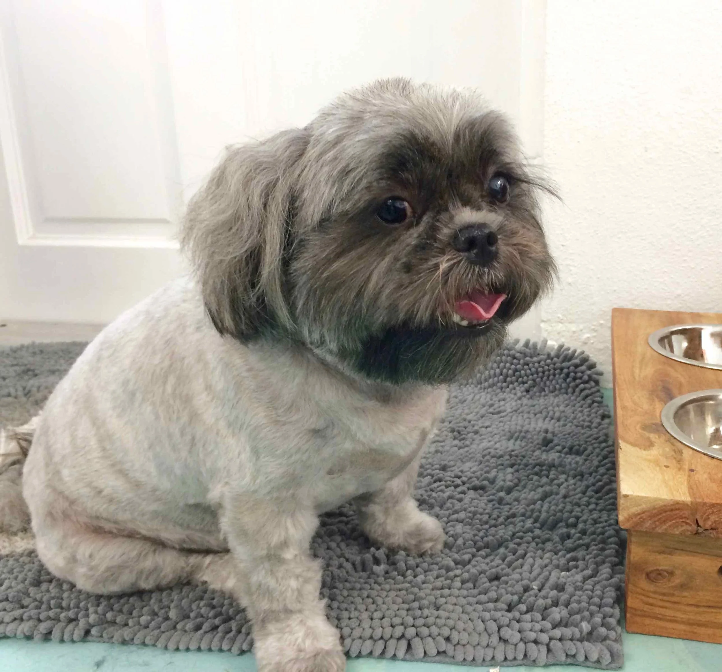 COCO - 4.jpg