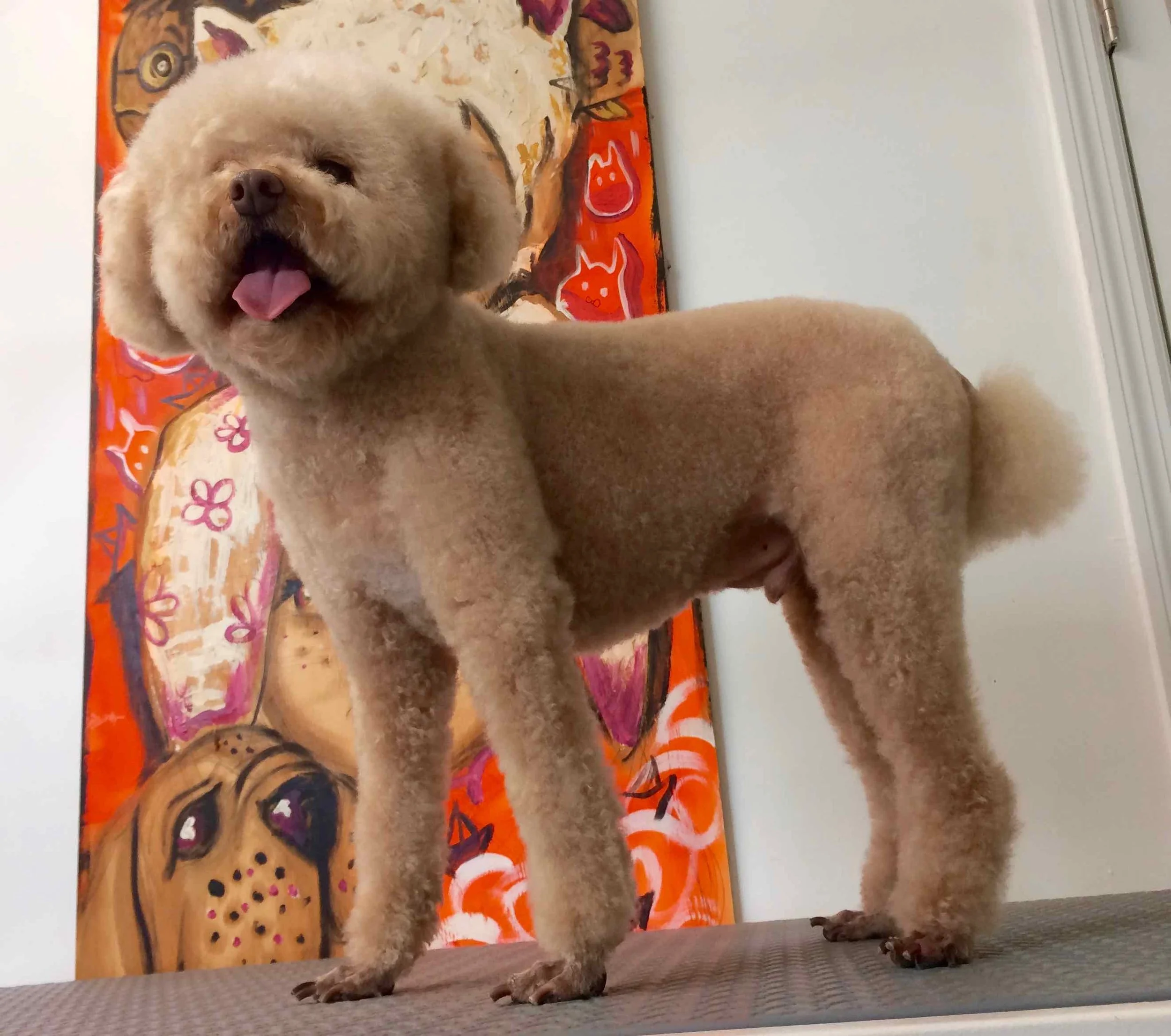 FINNEGAN - 4.jpg