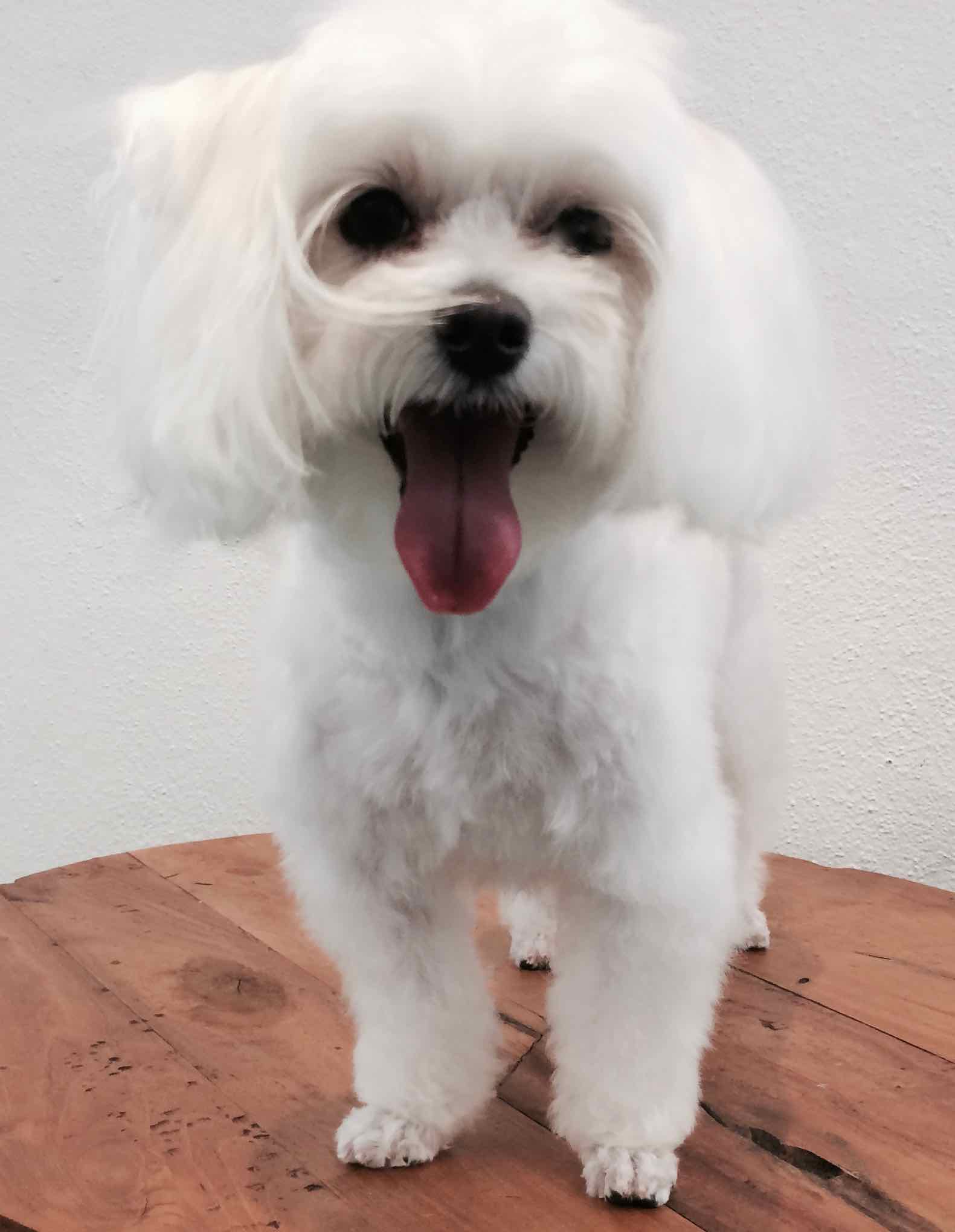LEXI - 3.jpg