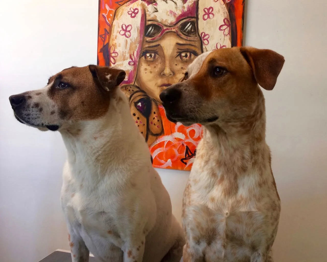BRUNO & COPPER - 3.jpg