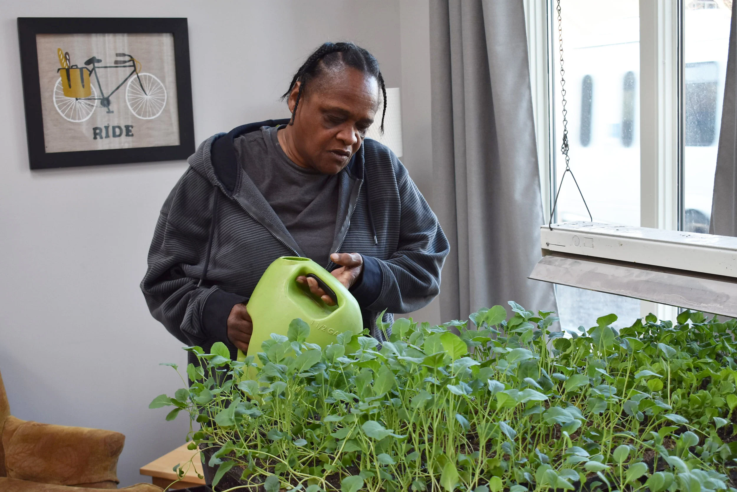 Your guide to buying local this summer