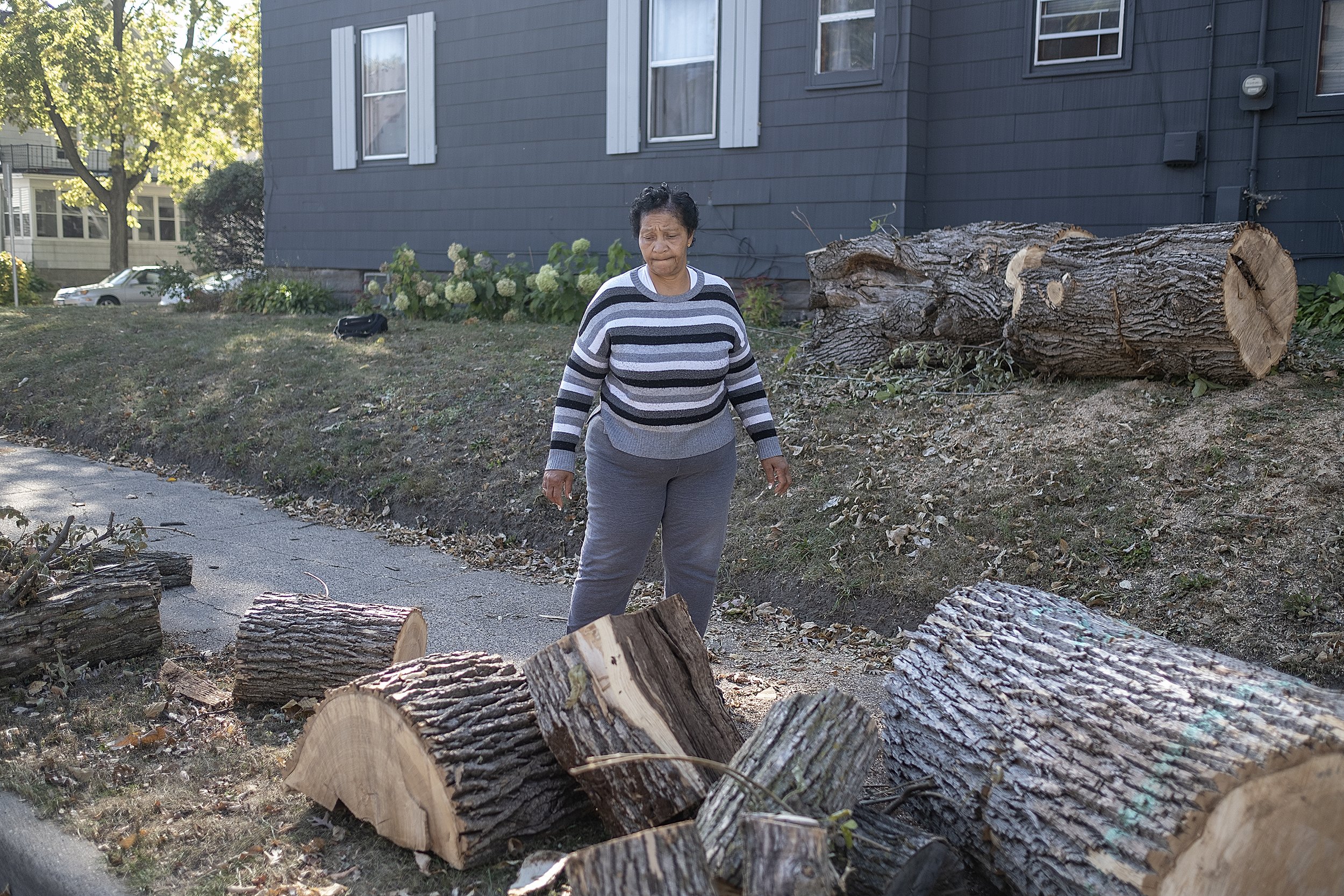 Northsiders hit with tree removal orders invited to ‘visioning’ sessions