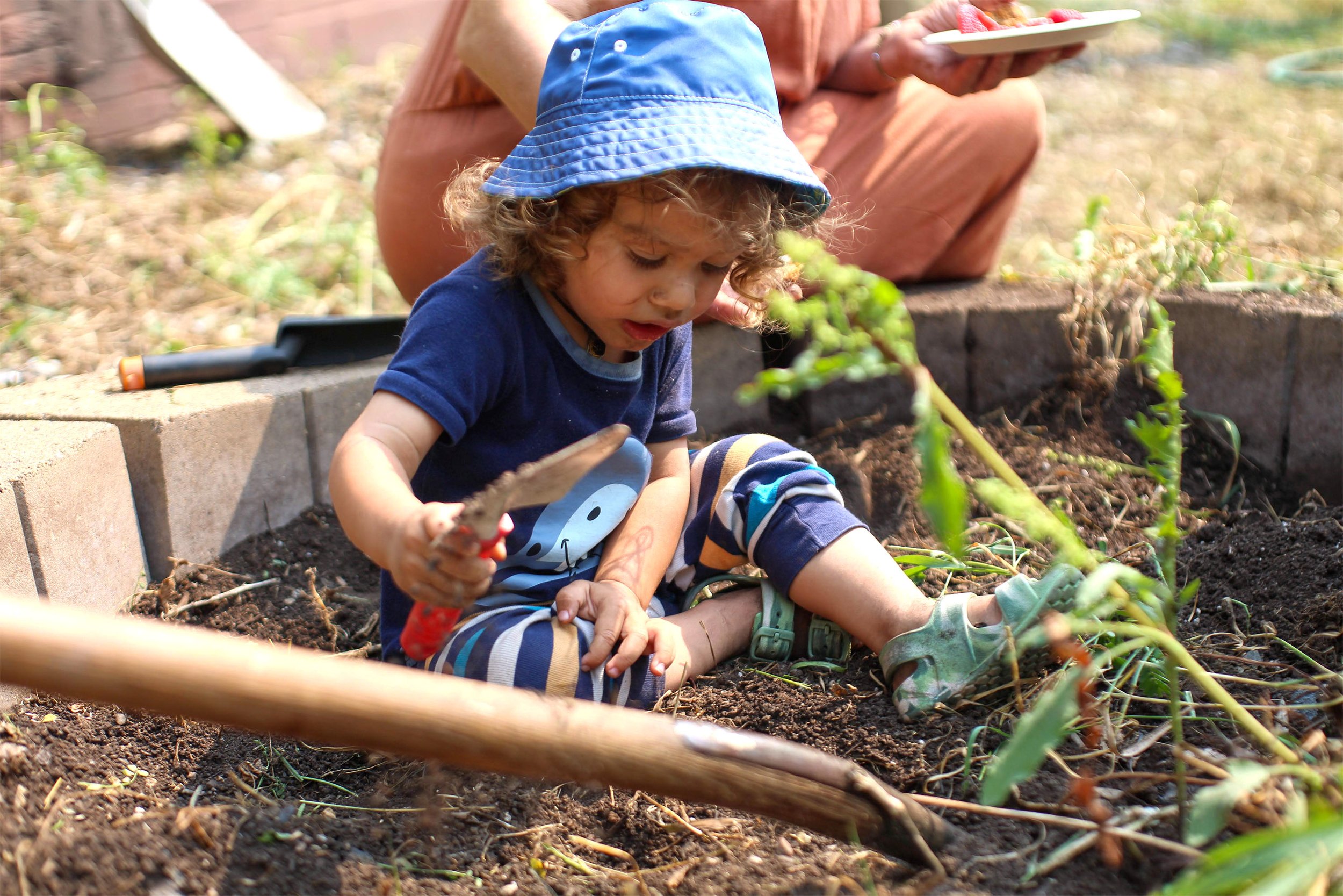 Urban gardening helps the Northside go green