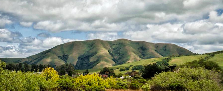 Black Mountain Hike Benefiting Pt. Reyes Farmers Market