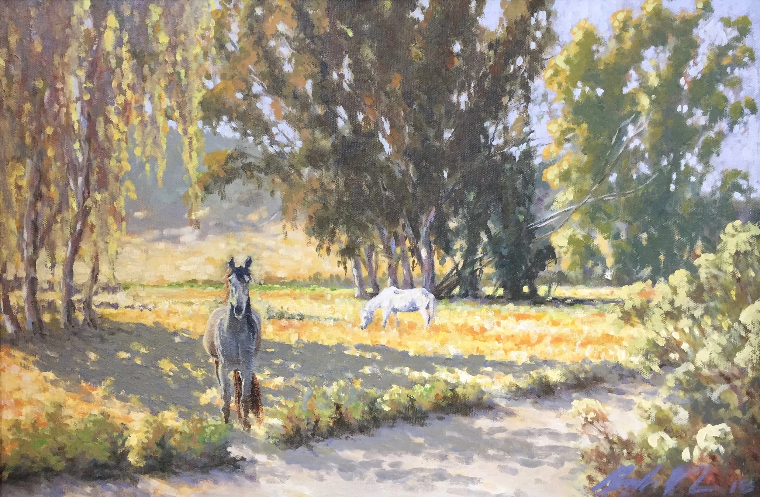 Who are you looking at?.jpg