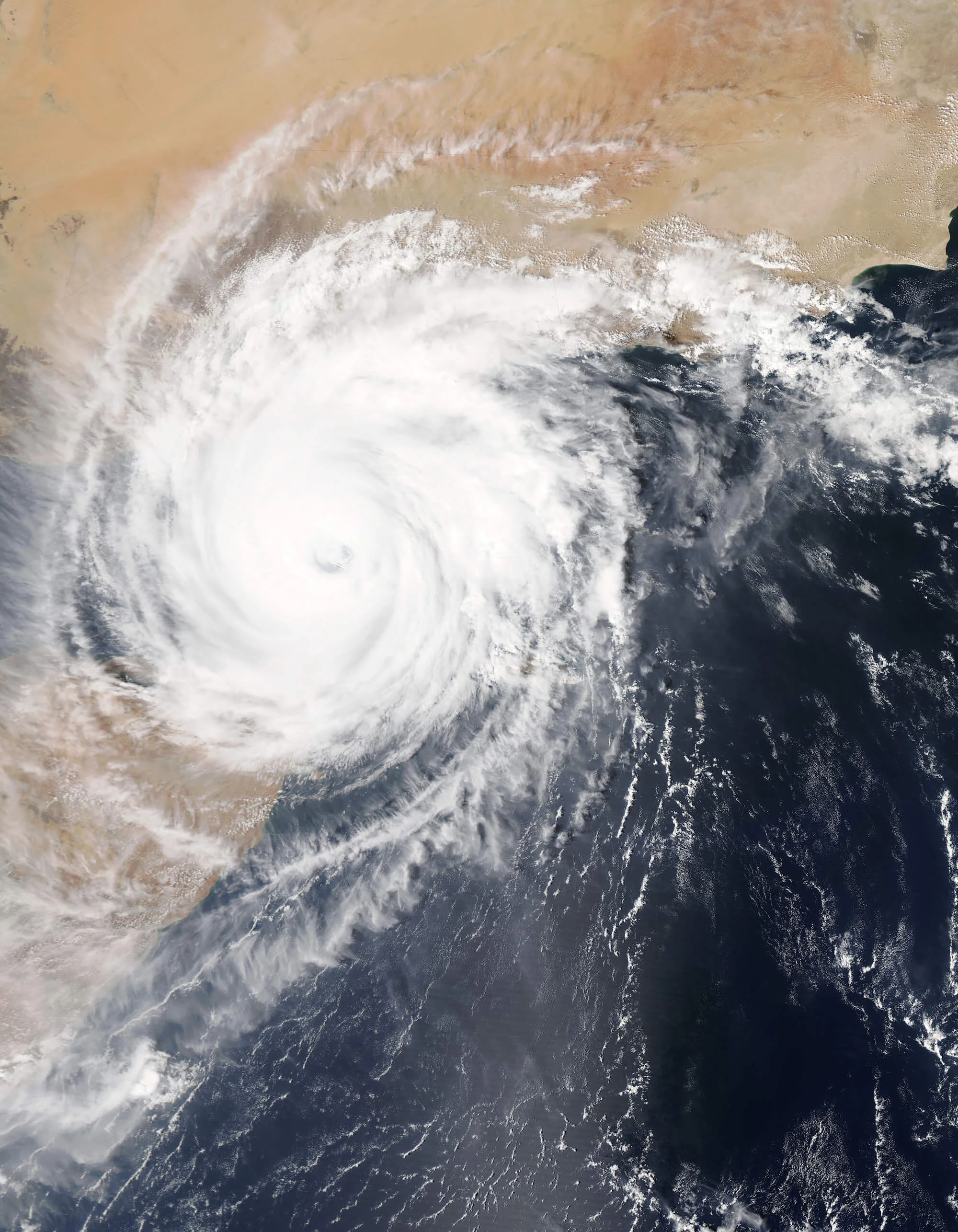 Changing weather patterns can have a serious effect on food sources
