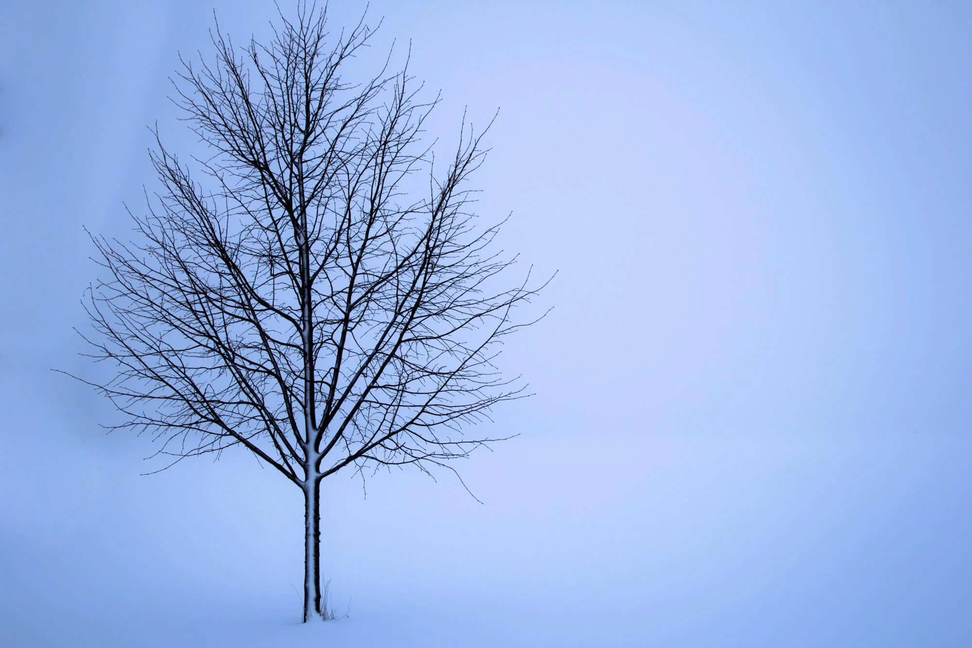 The climate in the Nordic is dominated by long cold winters
