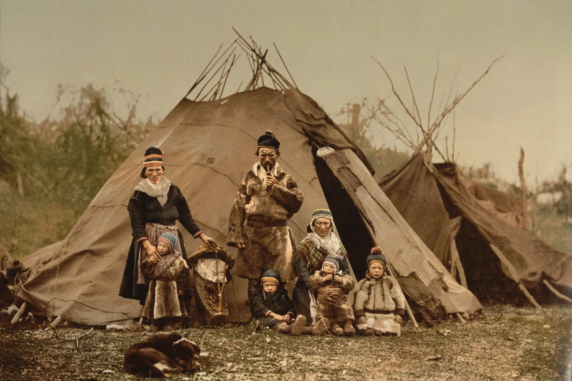 Sámi food culture and recipes are still important parts of Nordic cuisine