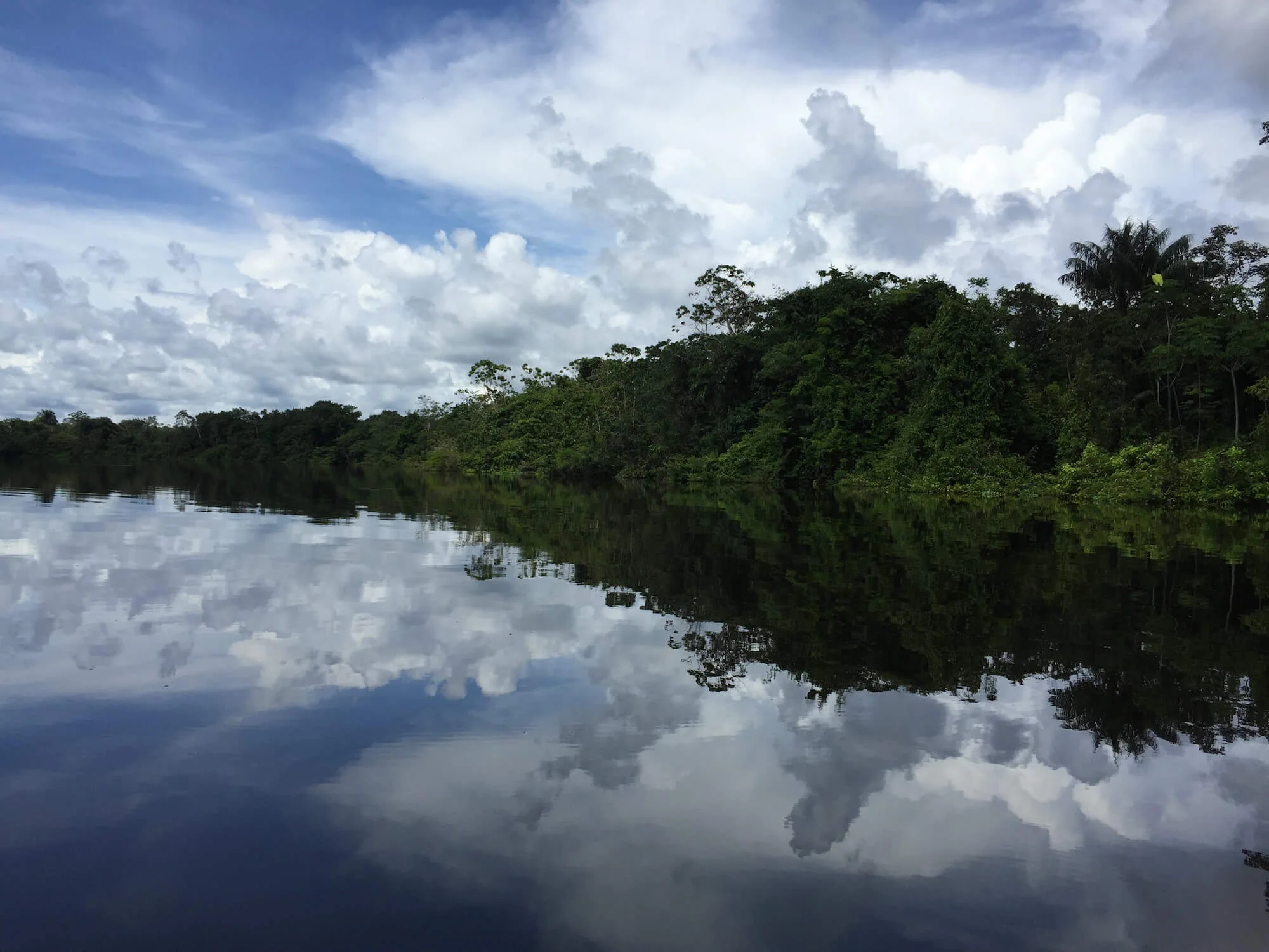 An Introduction to Amazon Cuisine