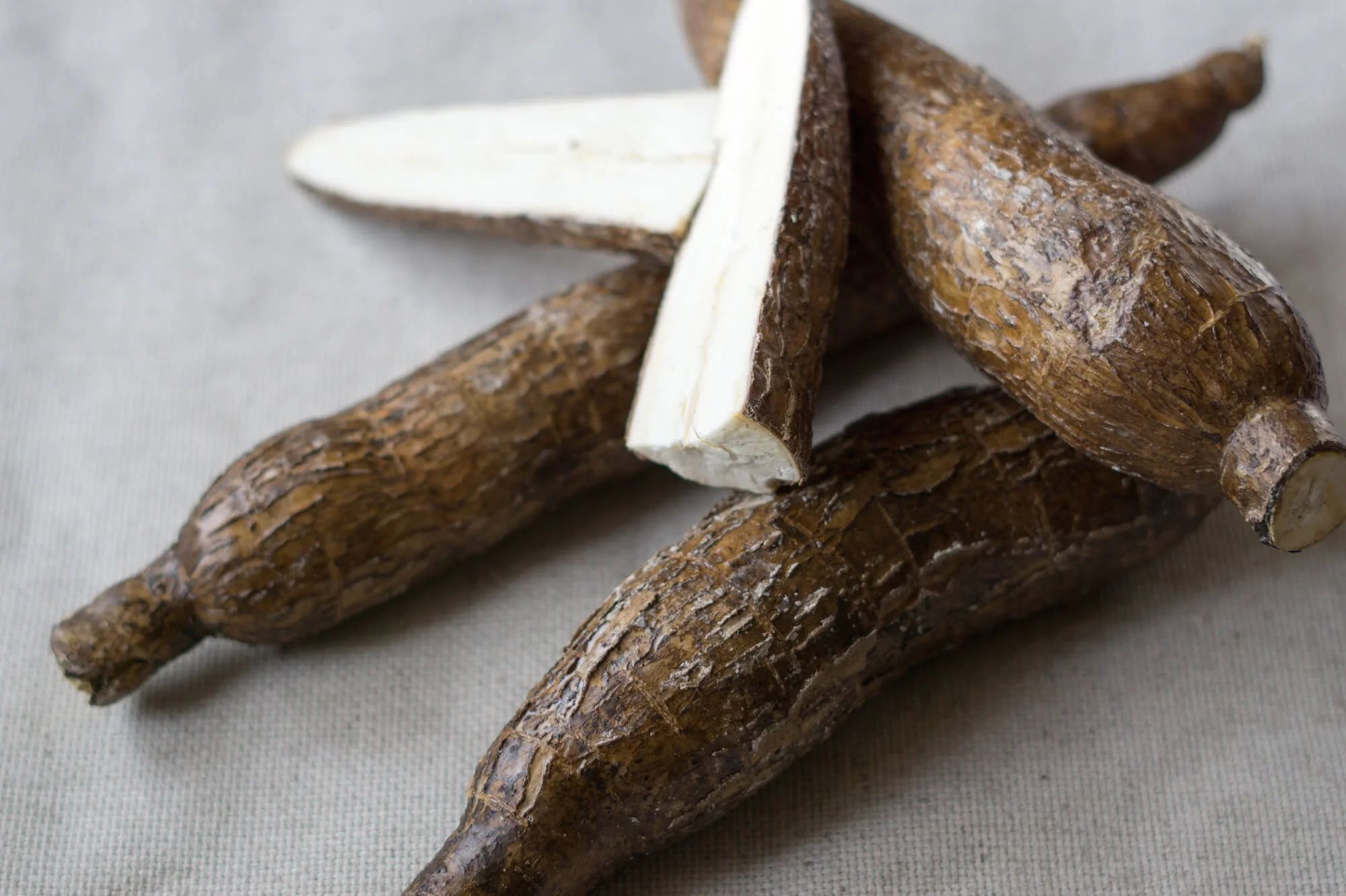 Native to South America, cassava is also called yuca, manioc, or Brazilian arrowroot
