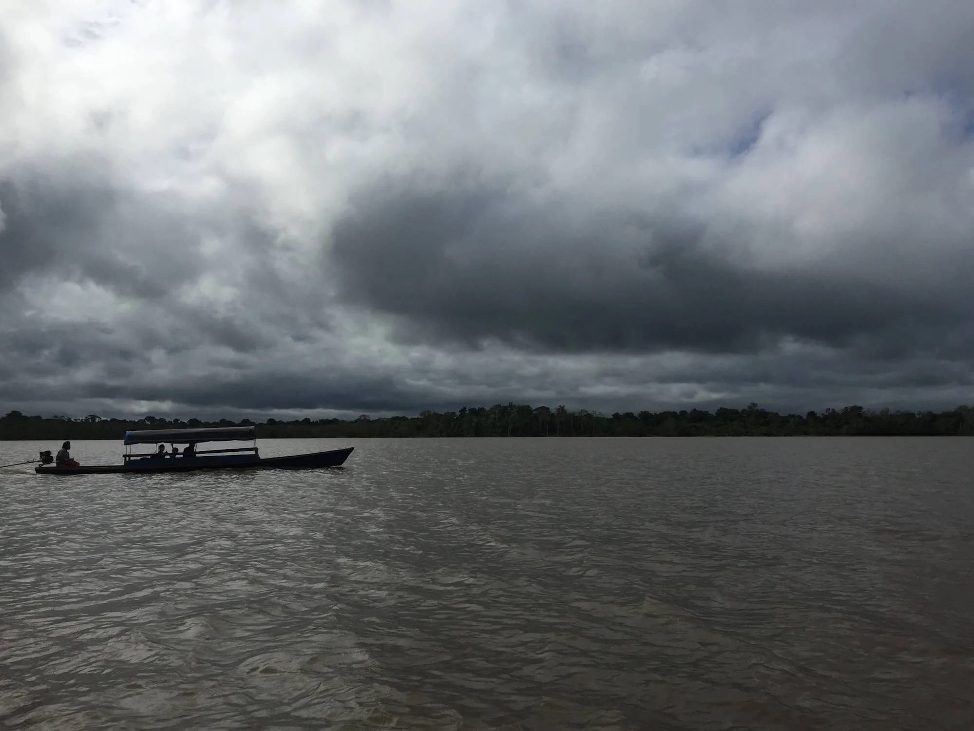 The Destruction of the Amazon: From the Forest to the Table