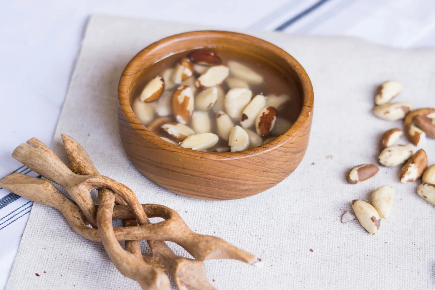 Amazon Brazil Nut Milk Global Gastros