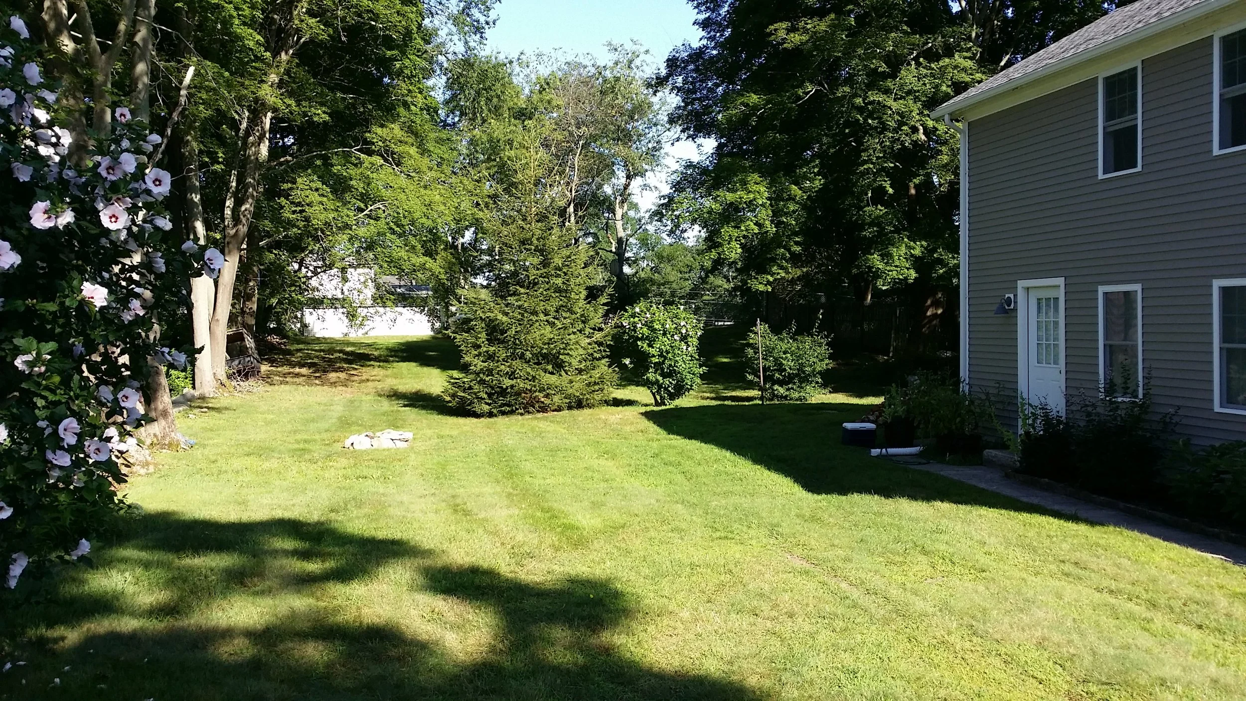 20140729_084511.jpg