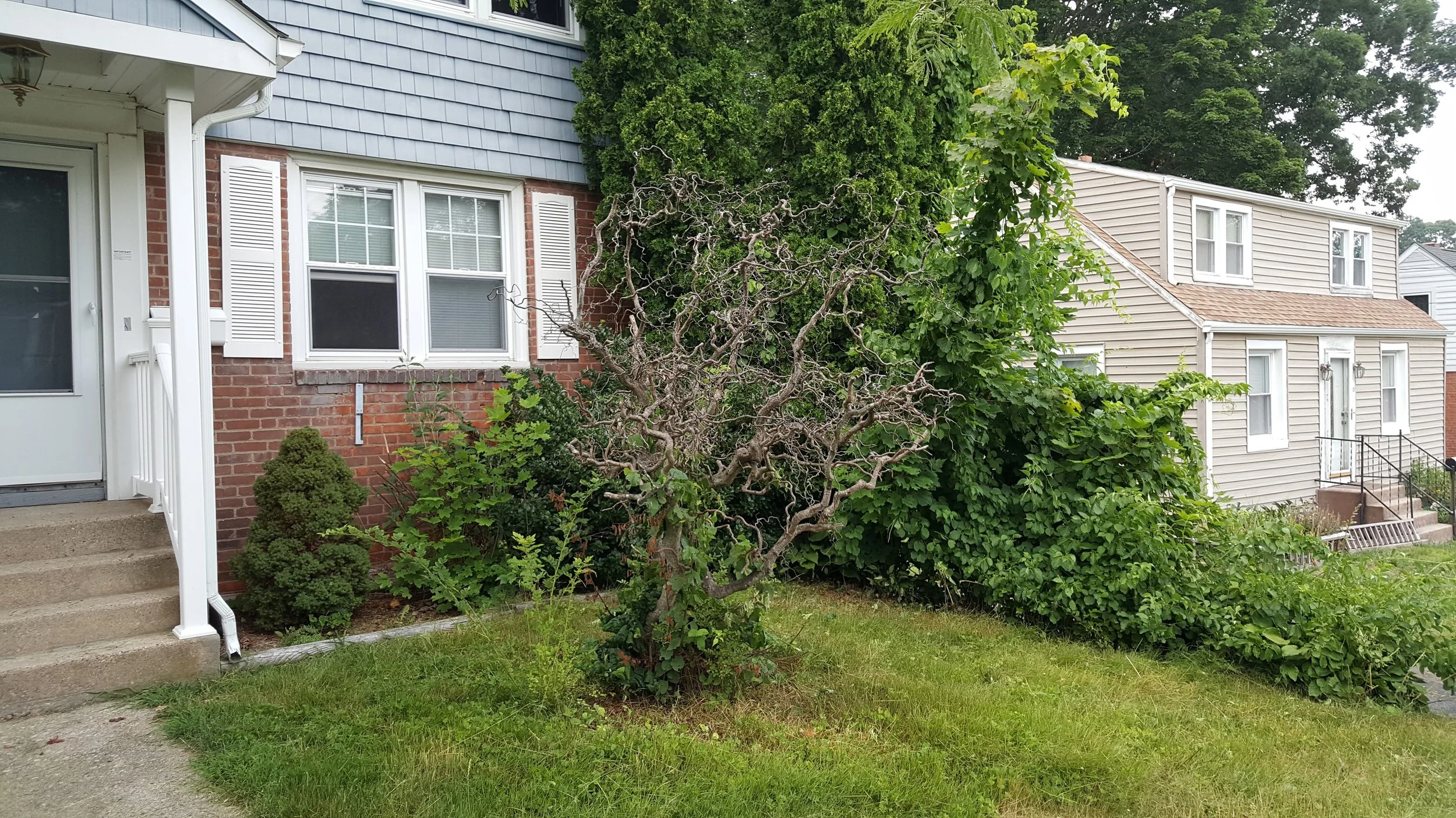 20160707_183604.jpg