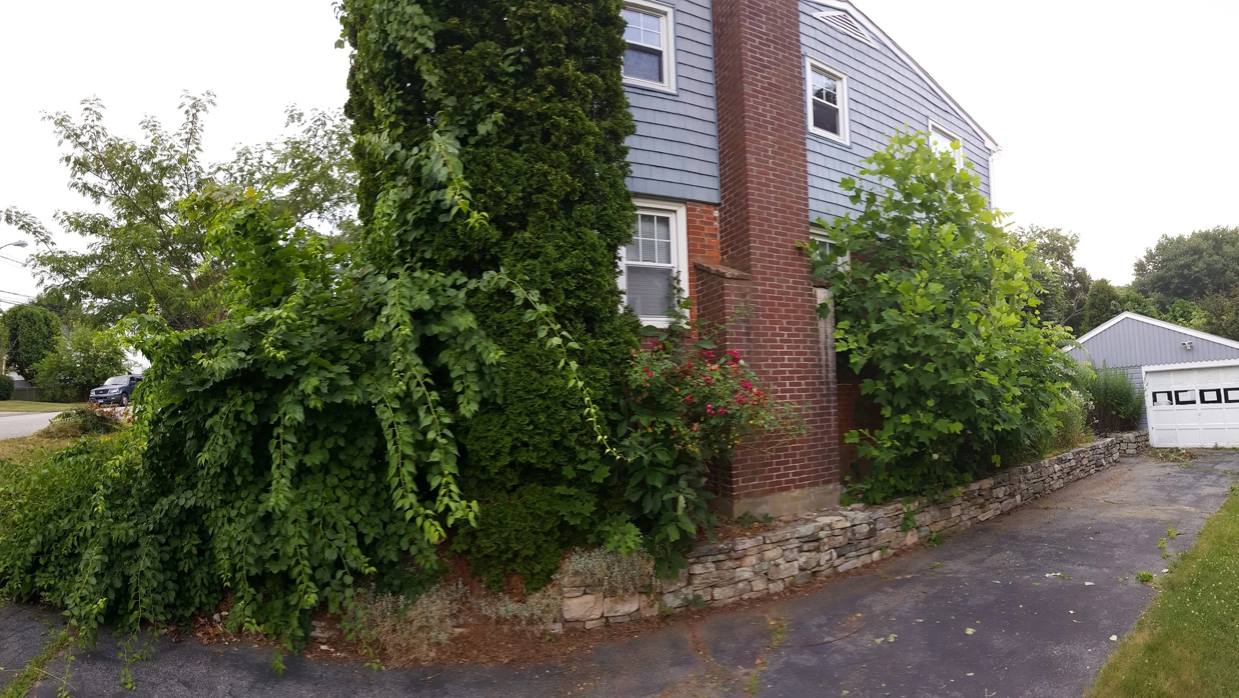 20160707_183357.jpg