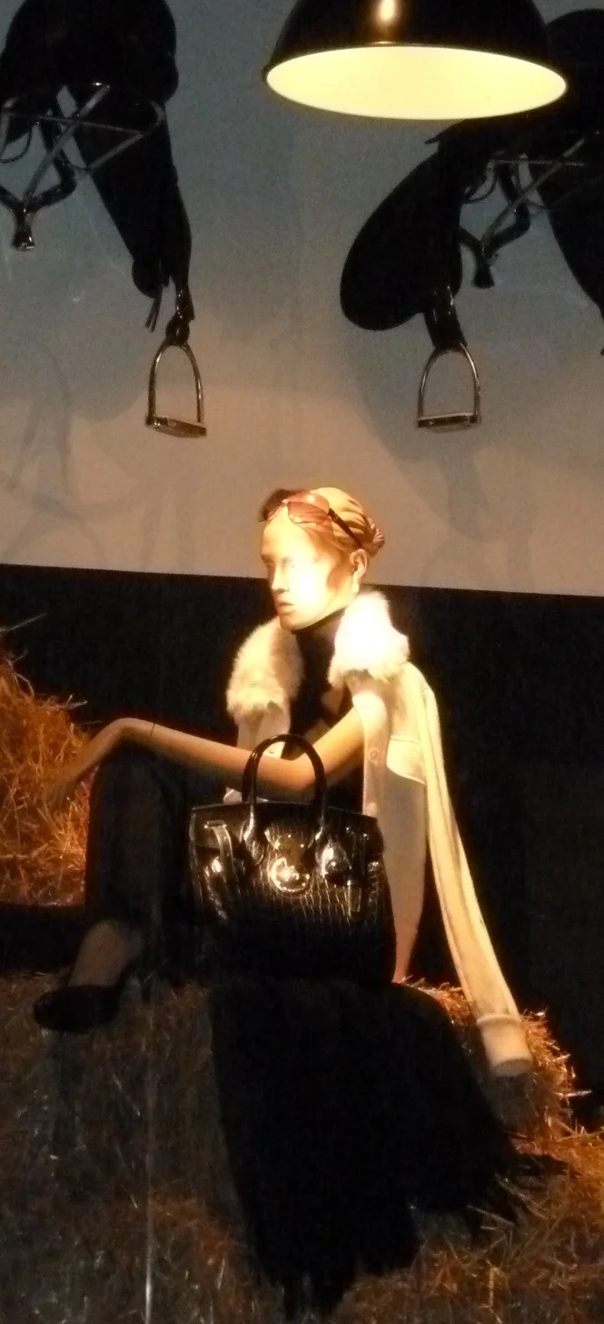 P1010658.jpg