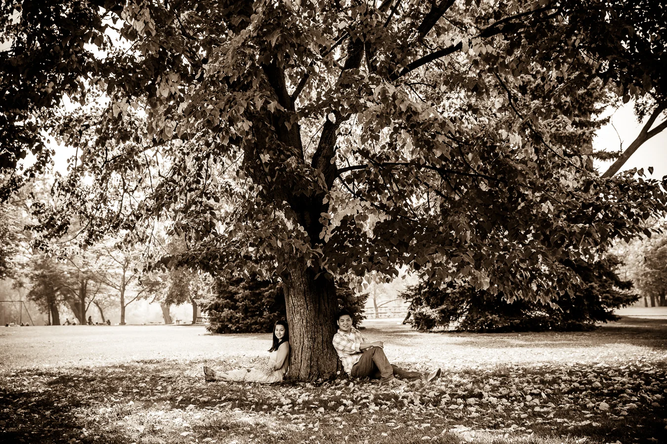 140928_1432_PL1_1107.jpg
