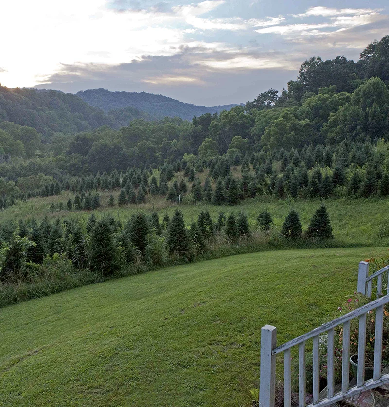 The Appalachians