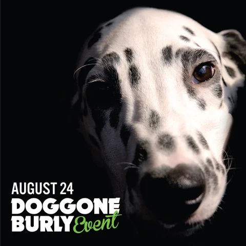 First DOGGONE BURLY Event