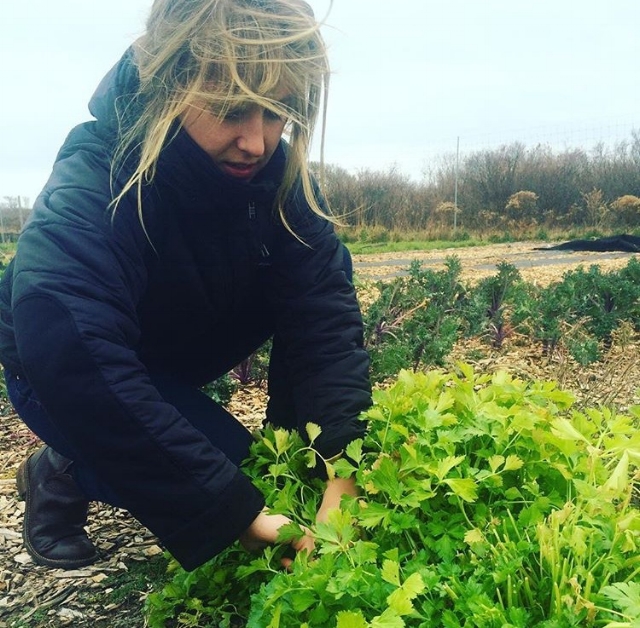 Chef and Menu Mastermind Leah Mojer picking out the best of the best from Lazy Man Gardens