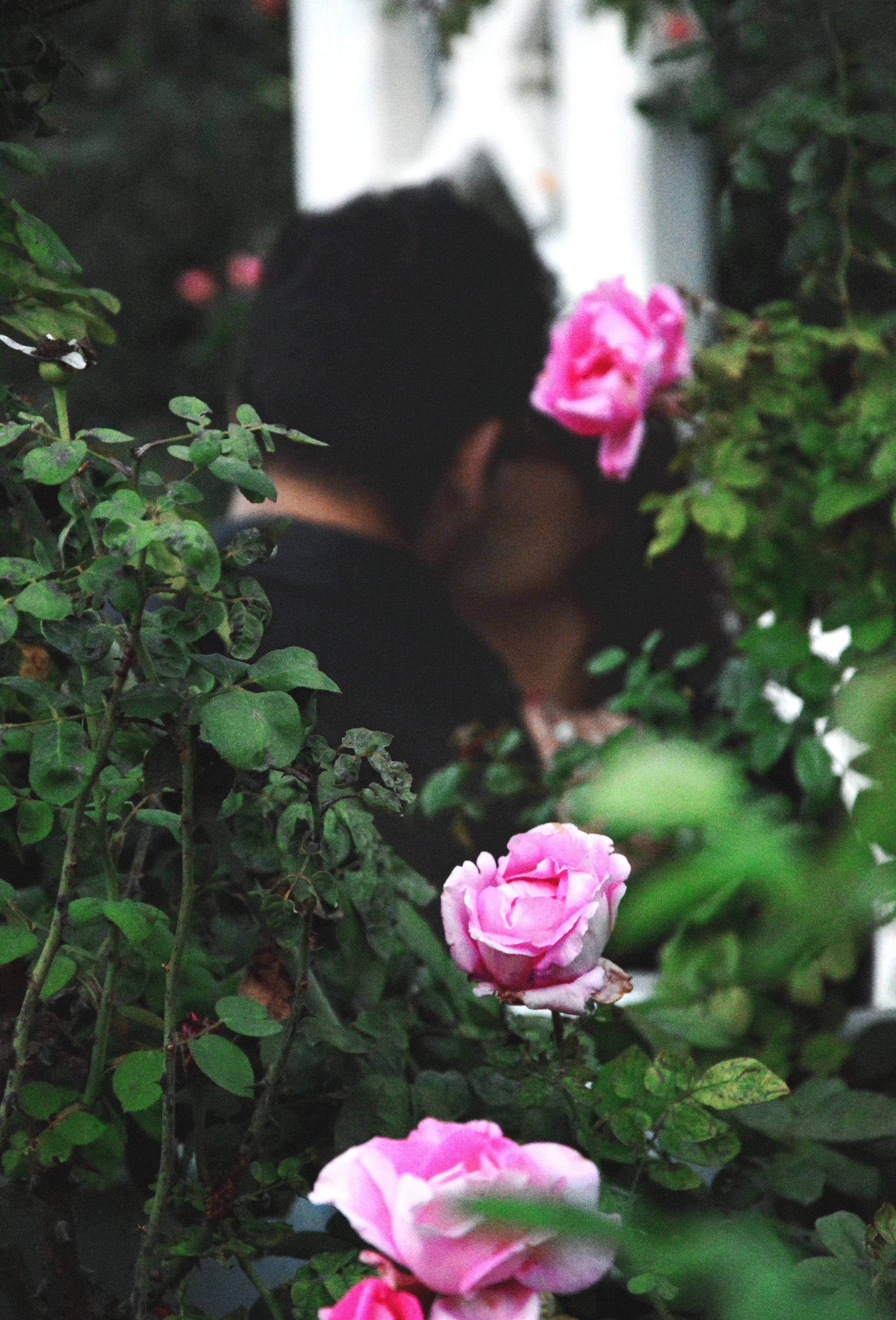 DSC_0546_EDITED copy.jpg