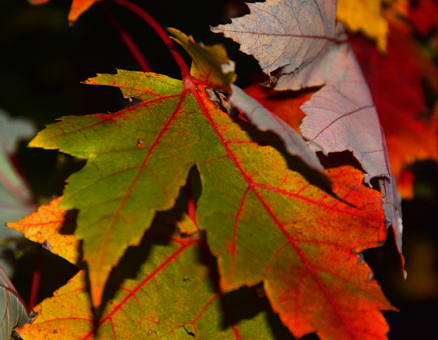 Treatment: Taking the Leap of Faith