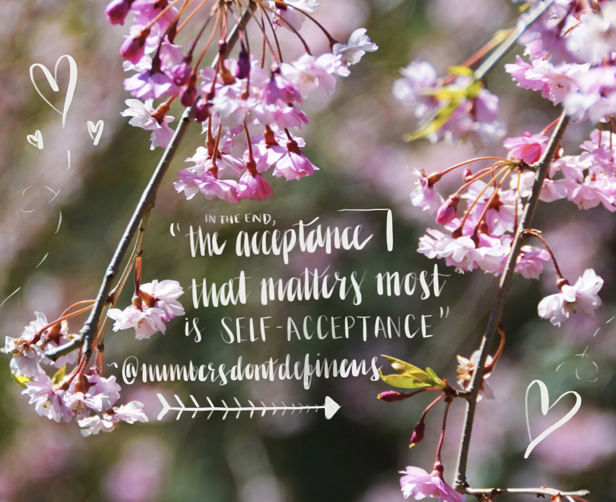 It's Beginning to Feel A lot Like....College App Szn