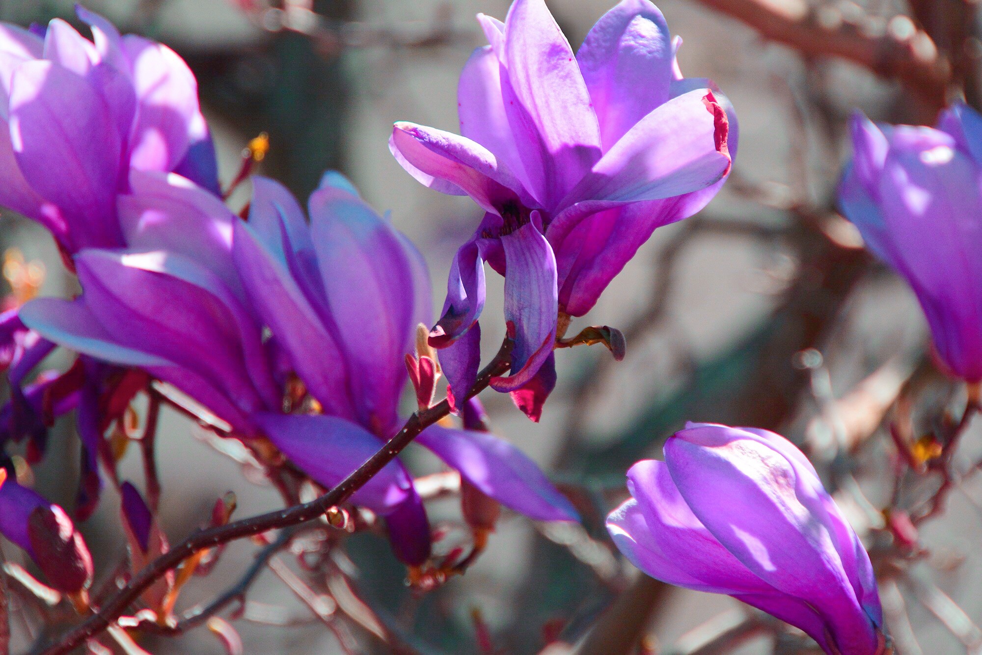 One Year Anniversary