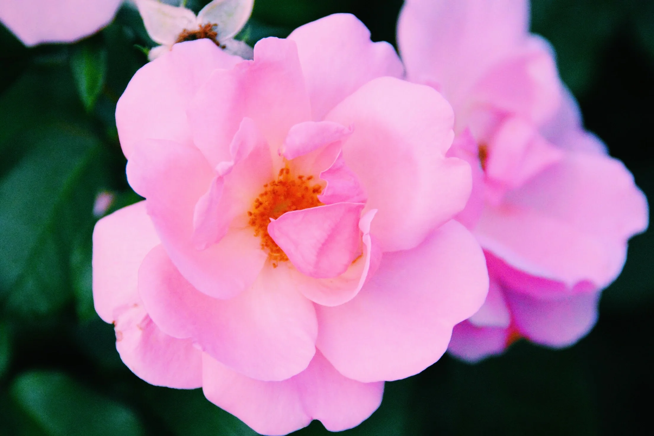 Self-Worth: An Innate Gift