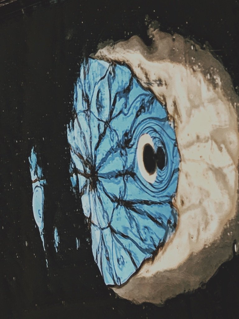 C8E75259-0D19-4721-9220-ED865030AF8C_1_105_c.jpeg