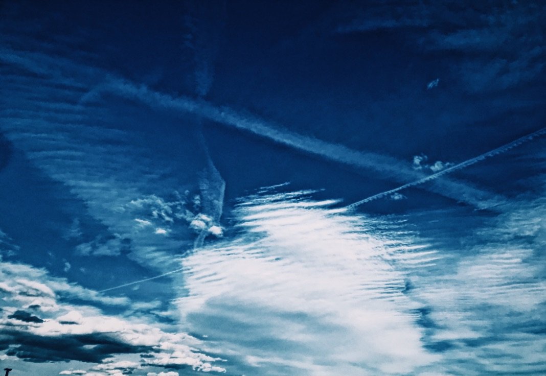 3BC6225C-18B9-46B0-B077-D8B0B340E680_1_105_c.jpeg