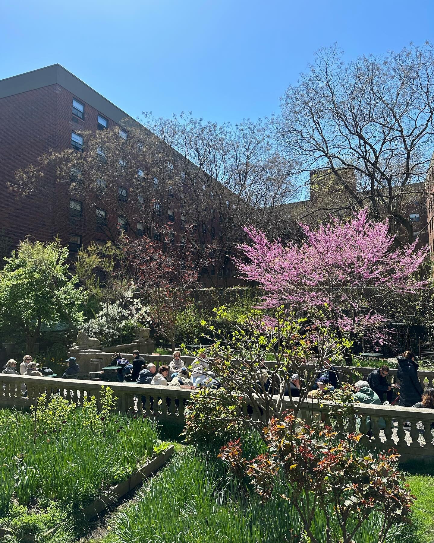 Happy garden happy #EarthDay 🌱🌿🌳🌎✨
Celebrate with us today from 6-7:30pm, free &amp; open to all! Seed giveaway, poetry and music. @pathway2paris 

Today is a good reminder that saving Elizabeth Street Garden also means upholding environmental la