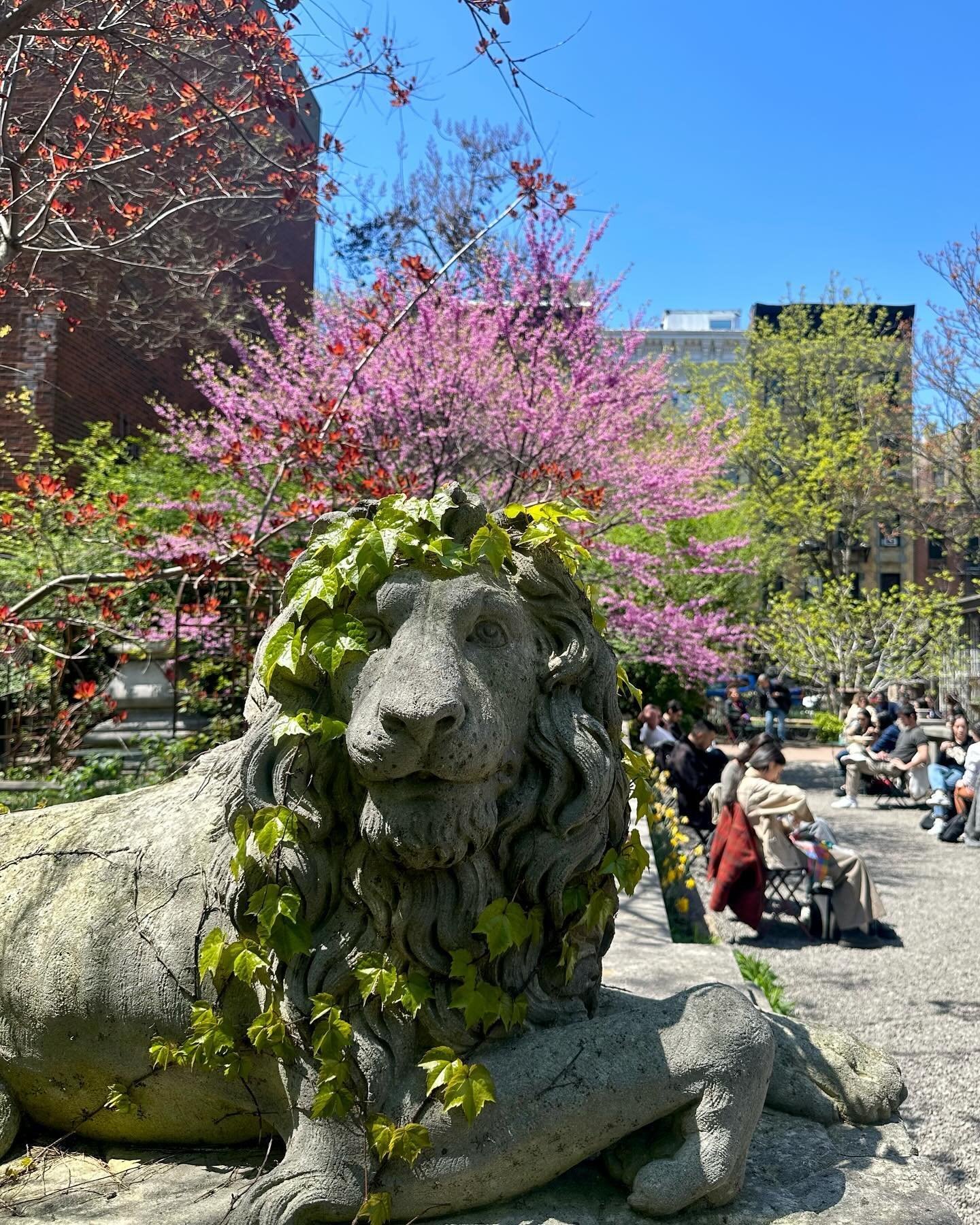 Happy Friday from the garden! 

Have you read our proposal to @nycmayor yet? 
We personally handed the Mayor a solution that achieves more affordable housing in the district &amp; preserves ESG as a Conservation Land Trust. 

Swipe for more info &amp