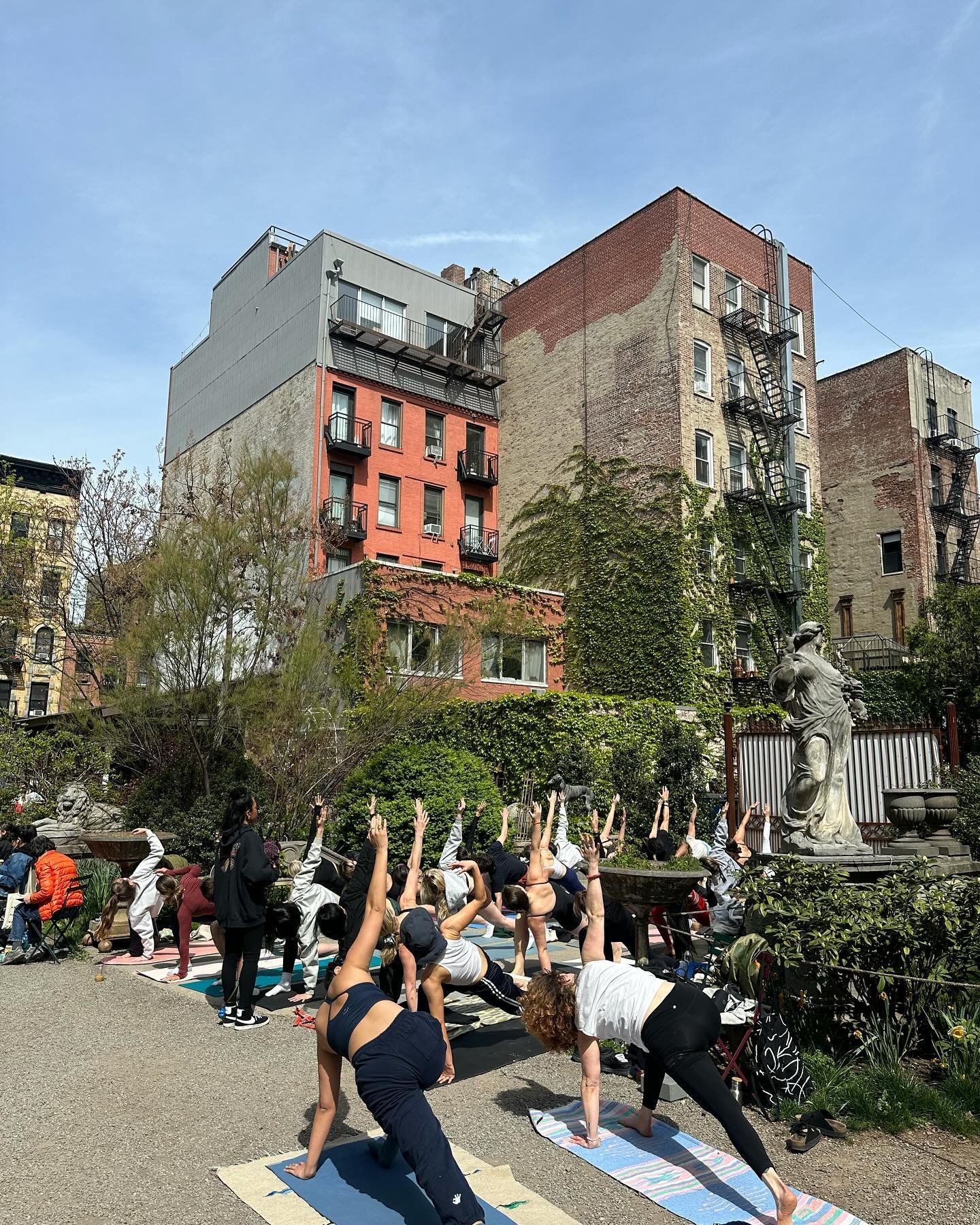 Wellness weekends in the garden ✨🌿

Yoga w/ @goodcheech - Saturdays at 10:30am 
Tai Chi w/ @taichisolution - Sundays at 10:30am 

Open to all w/ suggested donations for instructors! 

Taking place on the paved area while we patiently wait for the ti
