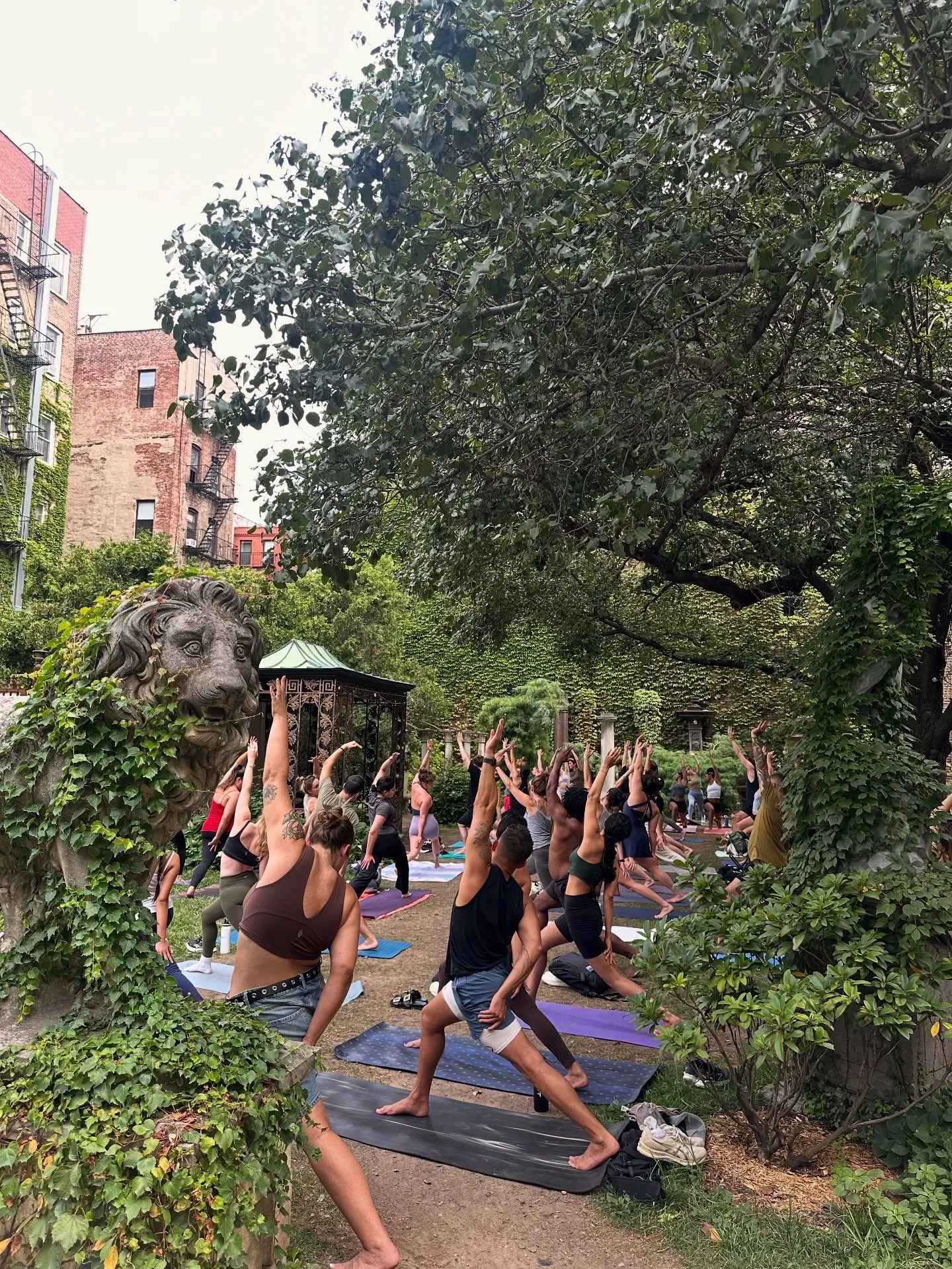 Join us for evening yoga w/ @goodcheech this Wednesday at 6 pm! 

Saturday yoga at 10:30am will continue through October.
