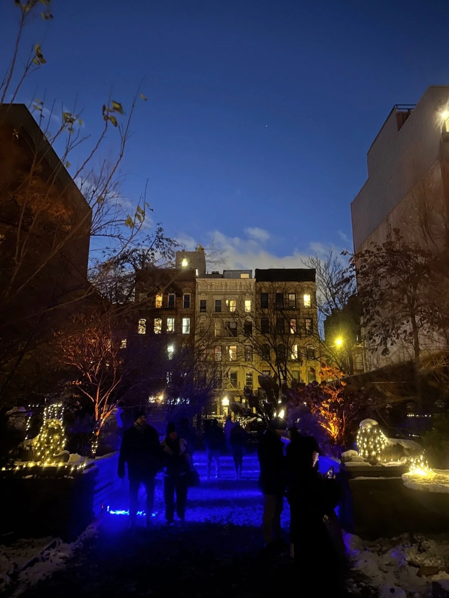 Bring your bells and join us in the garden for the Winter Solstice Celebration! 🌗❄️🔔

Tomorrow (Sunday)! 5-7pm 

With cozy treats from @caffeparadiso.nyc  @littlecupcakebakeshop @homies_nyc &amp; @jeanslafayette 

Ringing of the bells tradition wil