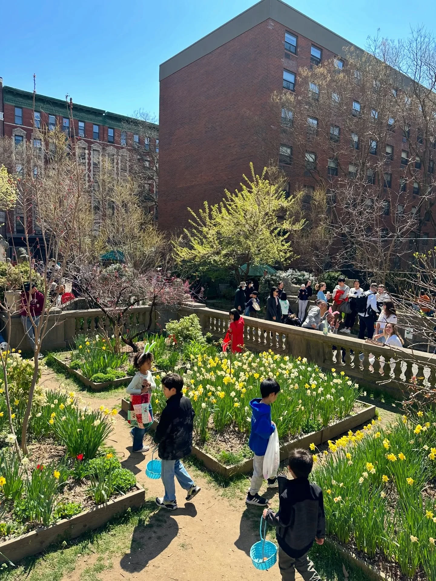 Our Annual Easter Egg Party is back! 

Join us on Sunday, April 5 in search of hidden eggs in the Garden. 

Toddler Time: 11:30 - 12 pm 
All Ages: 12 - 2 pm 

BYOBasket! 🐰🥚🪻
Free &amp; open to all 

Flyer by @paolabilancieri_ag