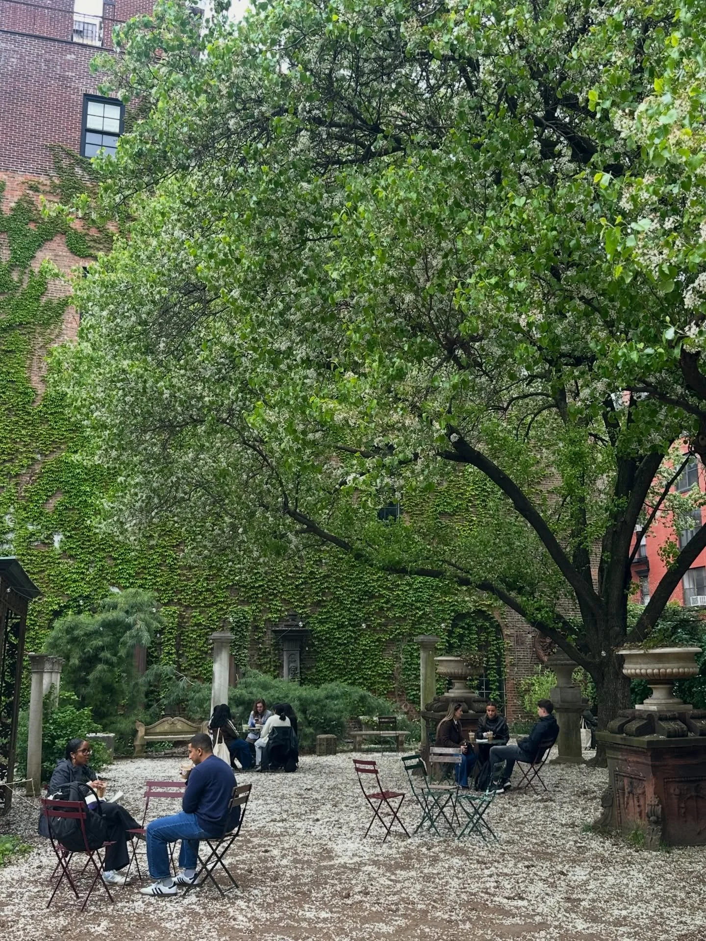 A moment of appreciation for this beautiful home we all share! Happy Earth Day from the Garden! 🦁🌎🌳✨

Rain &amp; shine we&rsquo;ll see you later for our annual celebration! 

Earthly Words hosted by @michiganmanhattan 
Starting at 5 pm 

Jesse Par