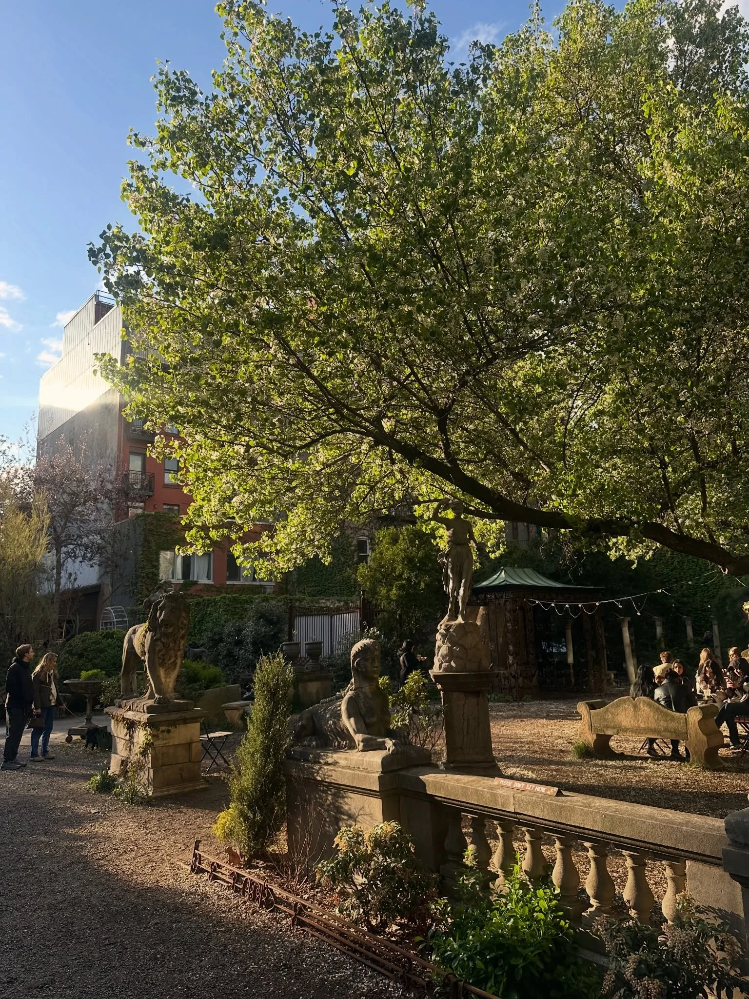 Did you know ESG is entirely run by volunteers? Help us keep the Garden open and beautiful by signing up to volunteer! 

Orientations are every Saturday at noon. Sign up through the link in our bio!