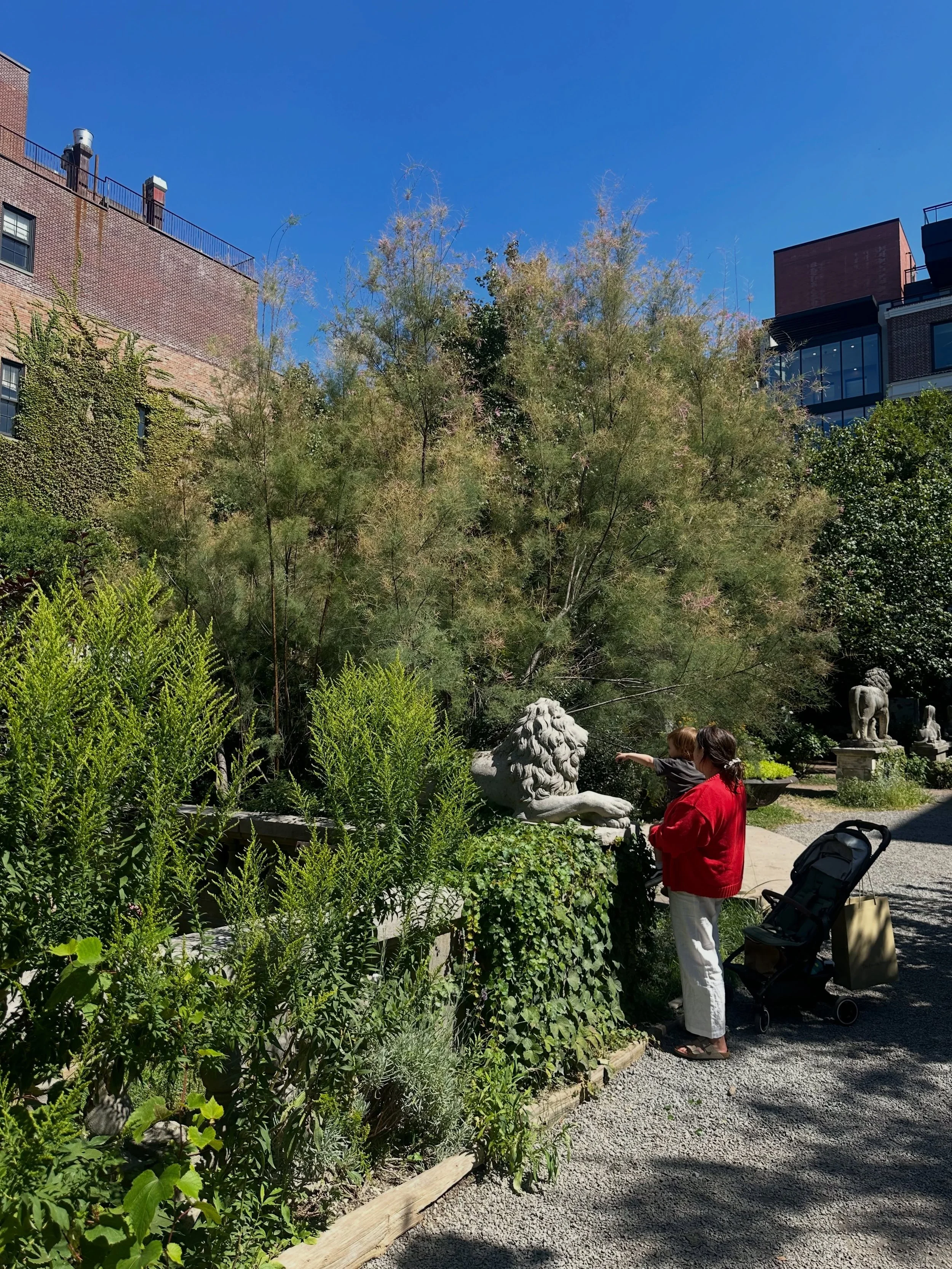 Wishing a beautiful day from the garden to all of you moms who help us grow.

Happy Mother&rsquo;s Day 🌱🌳