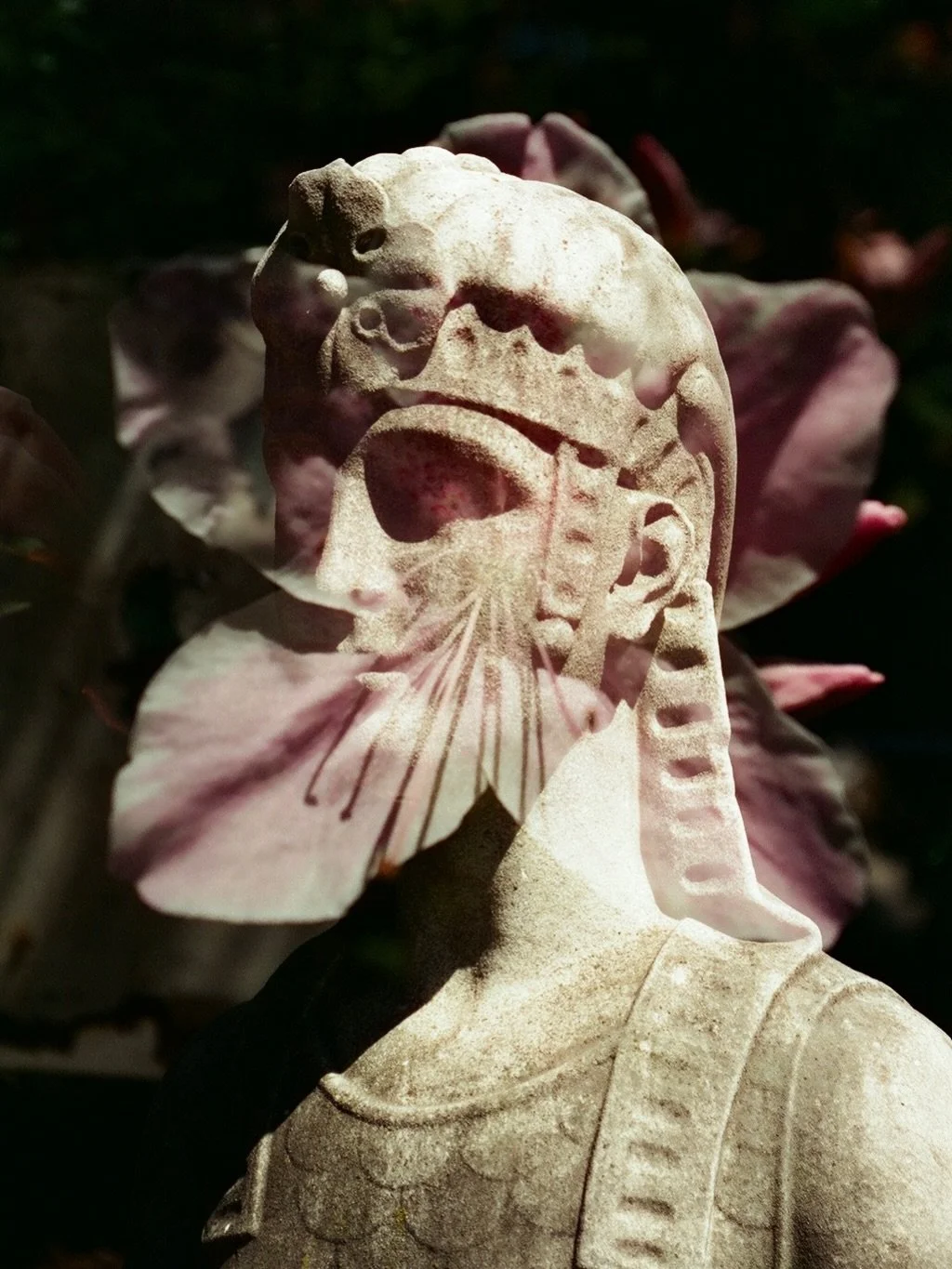 This week&rsquo;s featured works from our Call to Artists are two double-exposure photographs of our sphinx and lion statues layered with our flowers by @maxandrvw 

Email your ESG inspired artwork to art@elizabethstreetgarden.com 

All are welcome t