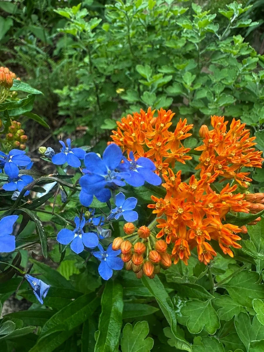 We love our city, it&rsquo;s hot outside, the garden&rsquo;s alive, KNICKS IN FIVE