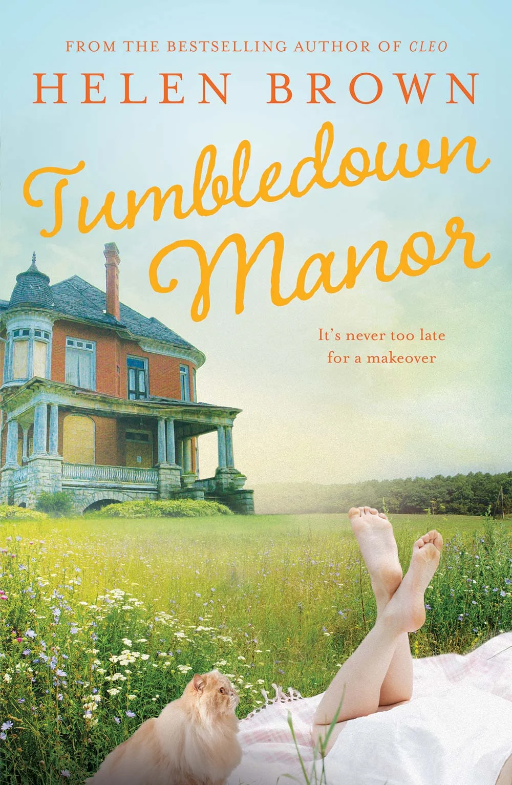Why This Book - Tumbledown Manor