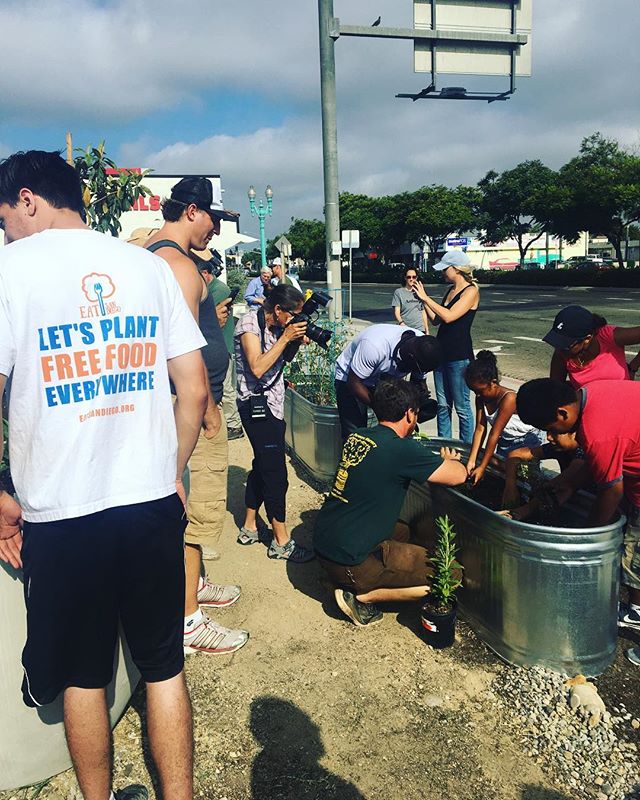 Thank you all for coming out this weekend to help garden!! Let's plant free food everywhere! If you want to join the movement or donate or have an idea for a new garden visit eatsandiego.org and let us know🍓🥒🍅 #foodisfree #eatsandiego #popup15 #el