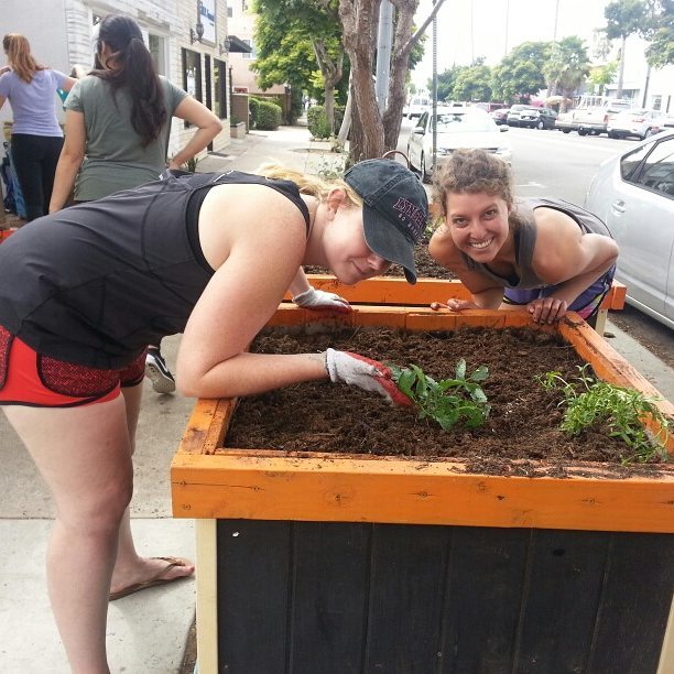 The team at Mixte Communications in Ocean Beach spent last week fixing up the sidewalk garden that started San Diego's public free food movement. (with lots of help from marvel tactical design )
.
#eatsandiego #eatob #freefoodgarden #foodisfree #921O