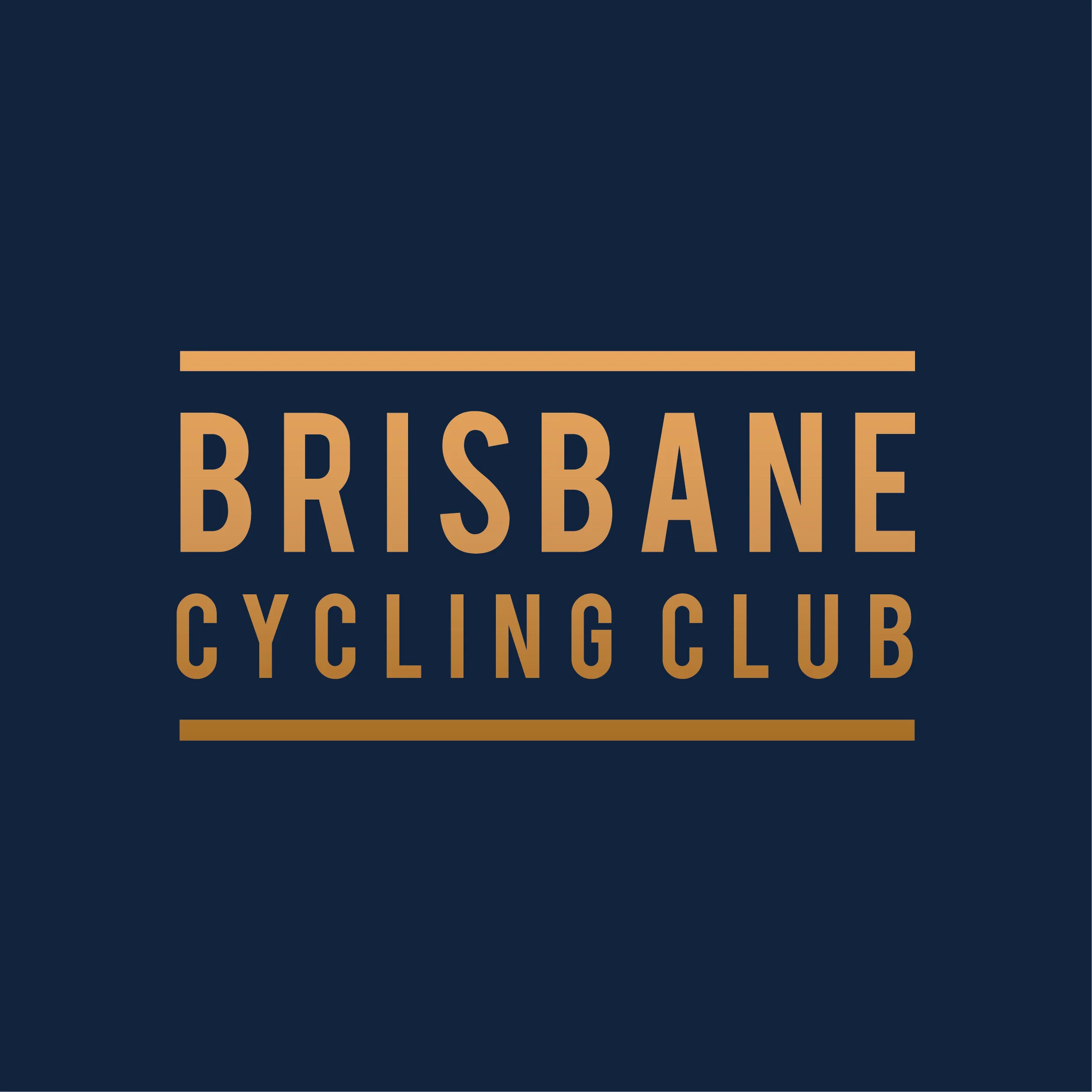 BNECC_Logo_Long_Reverse+Gradient.jpg